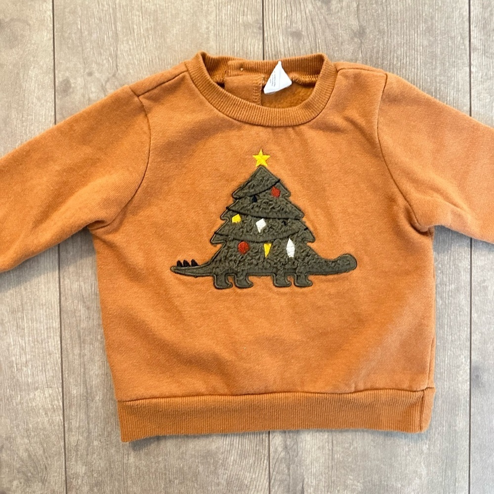 Baby boy 6 month Christmas dinosaur tree sweatshirt
